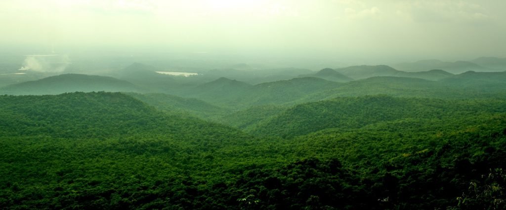 Biligiriranga Hills, Karnataka, India - MustVisitPlace.com