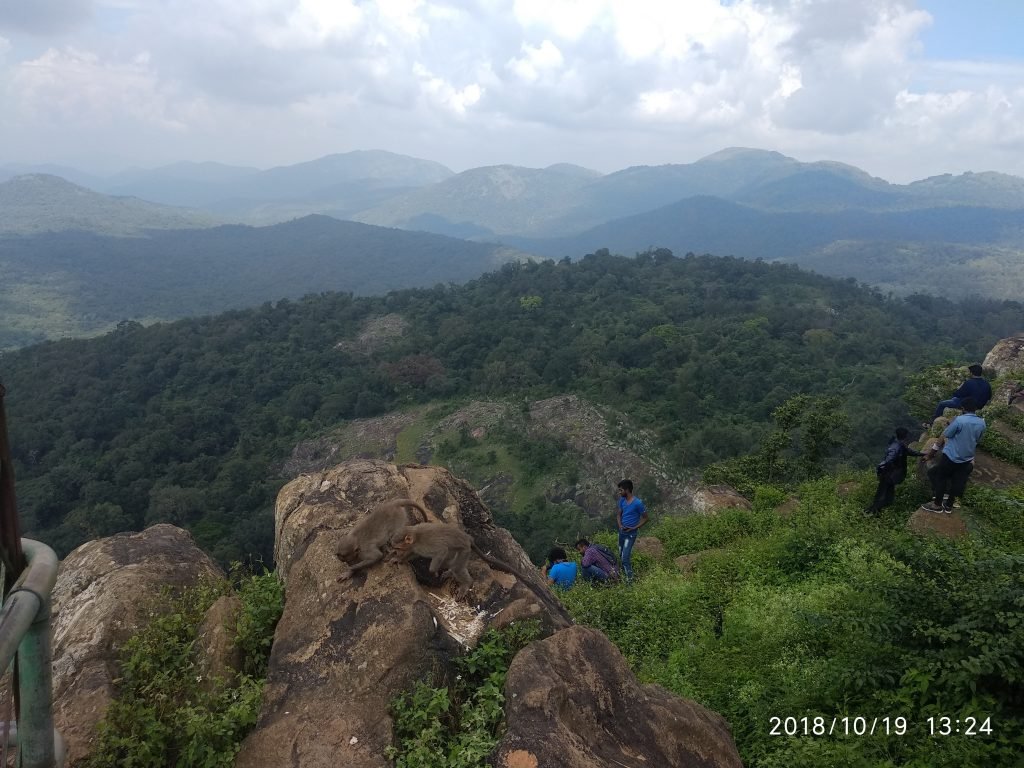 Biligiriranga Hills, Karnataka, India - MustVisitPlace.com