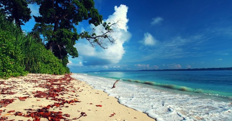 Places to Visit in Havelock Island - Andaman Islands, India