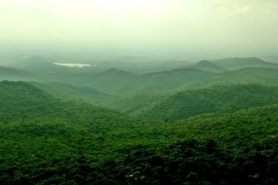 B-R-hills-wild-sanctuary.jpg